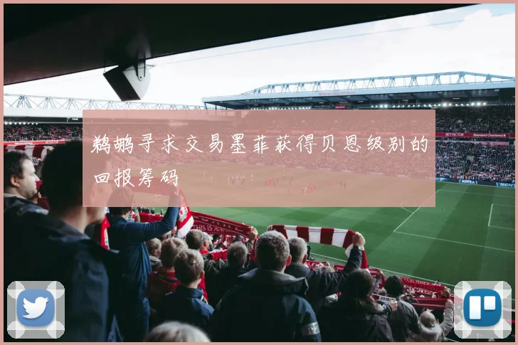 鹈鹕寻求交易墨菲获得贝恩级别的回报筹码