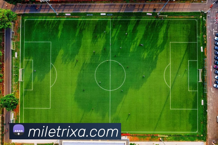 米乐体育平台生态图