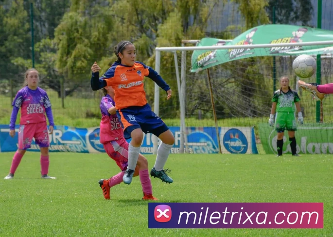 米乐体育APP 封面图